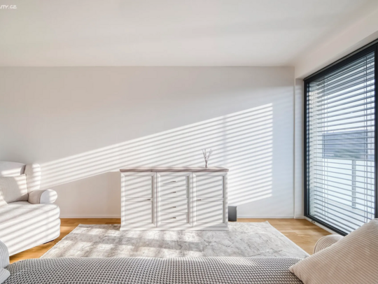 Prodej bytu 2+kk 67 m² U Viktorie, Praha - Žižkov