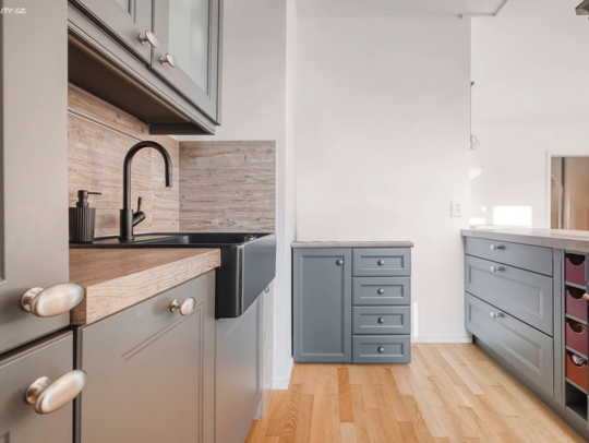 Prodej bytu 2+kk 67 m² U Viktorie, Praha - Žižkov